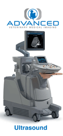 UltrasoundPamphlet