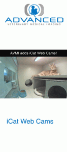 iCatWebCam