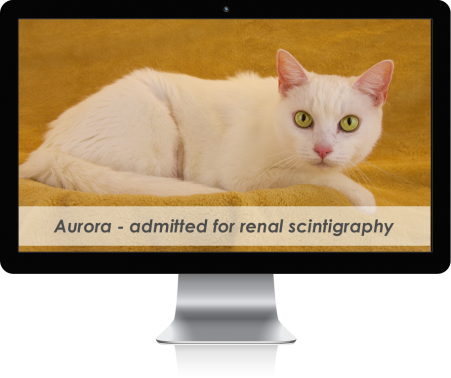 mac-display-overlay-patient-Aurora