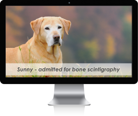 mac-display-overlay-patient-Sunny