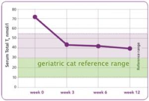 graph1-300x204