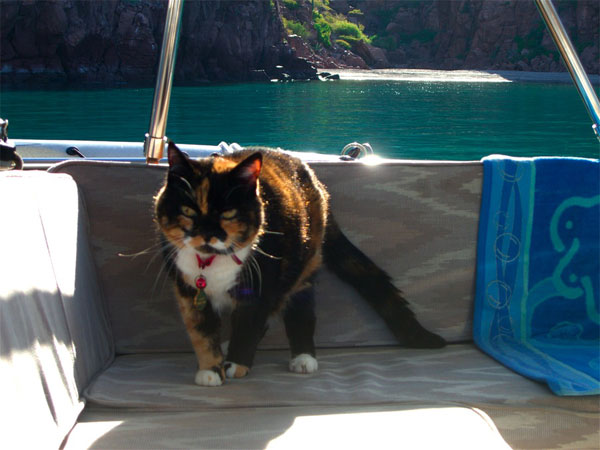 Kiddie on the boat with her family