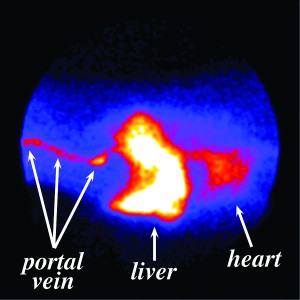 Figure2