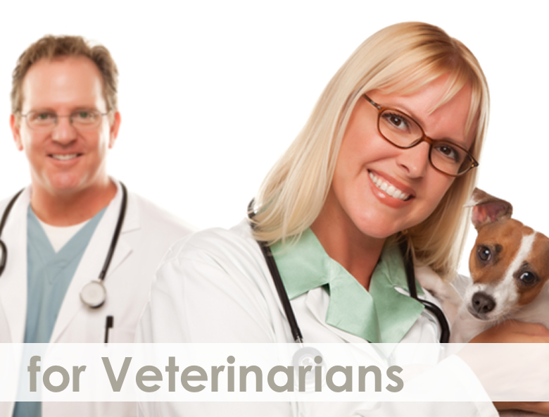 for Veterinarians