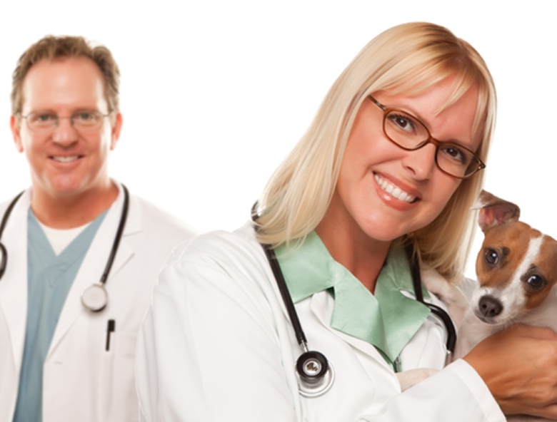 Veterinarians_780_No_overlay