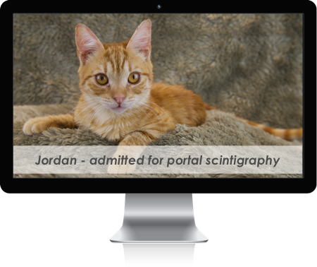 Portal Scintigraphy | Advanced Veterinary Medical Imaging