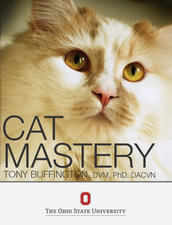 Caat Mastery